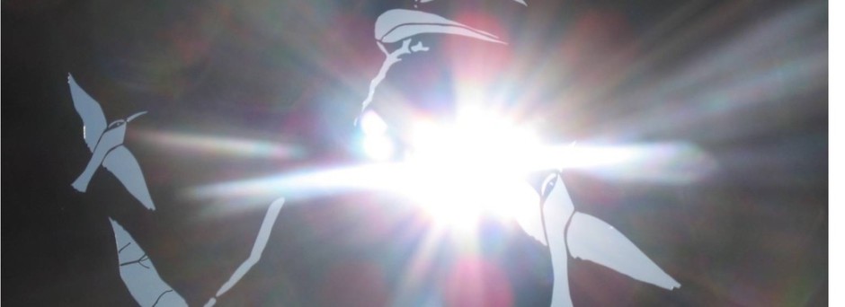 Bild zeigt einen spirituelles Licht mit Vögeln